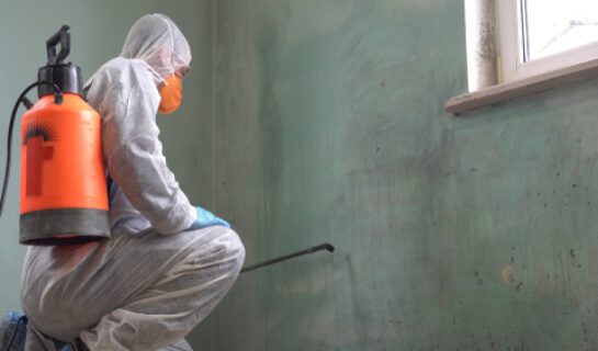 shutterstock_1374791126 Beseitigungsanspruch des Mieters bei Schimmelbildung in Altbauwohnung